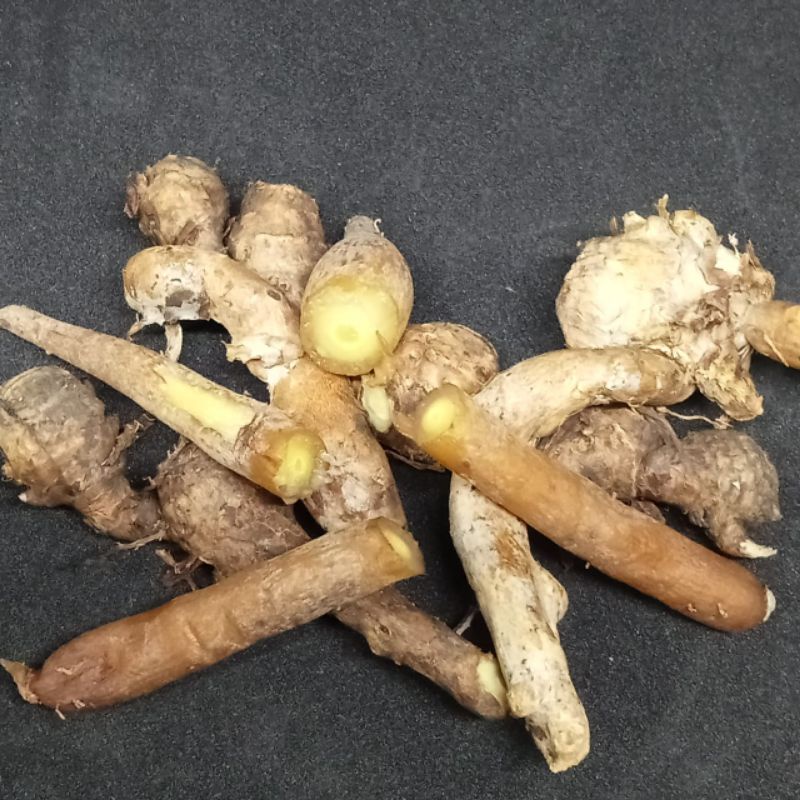 

Kencur Rempah-rempah Bumbu dapur Segar 100 gr
