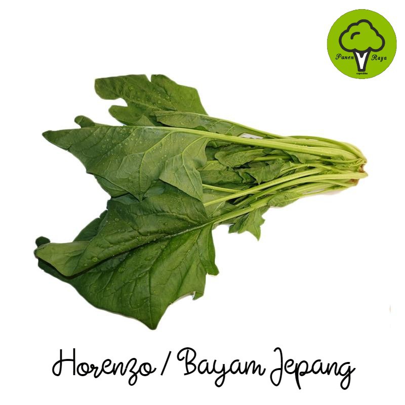 

SAYURAN / HORENZO / BAYAM JEPANG [250GR]