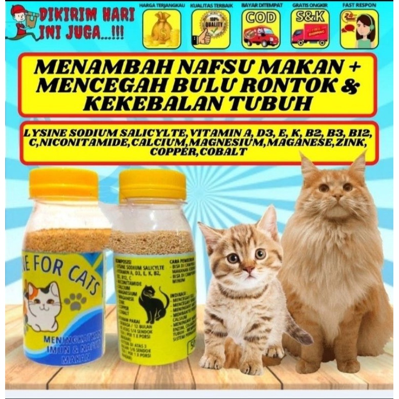 vitamin penumbuh bulu dan penggemukan kucing penumbuh bulu kucing pelebat bulu kucing obat vitamin k
