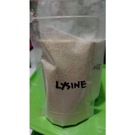 lysine suplemen ternak
