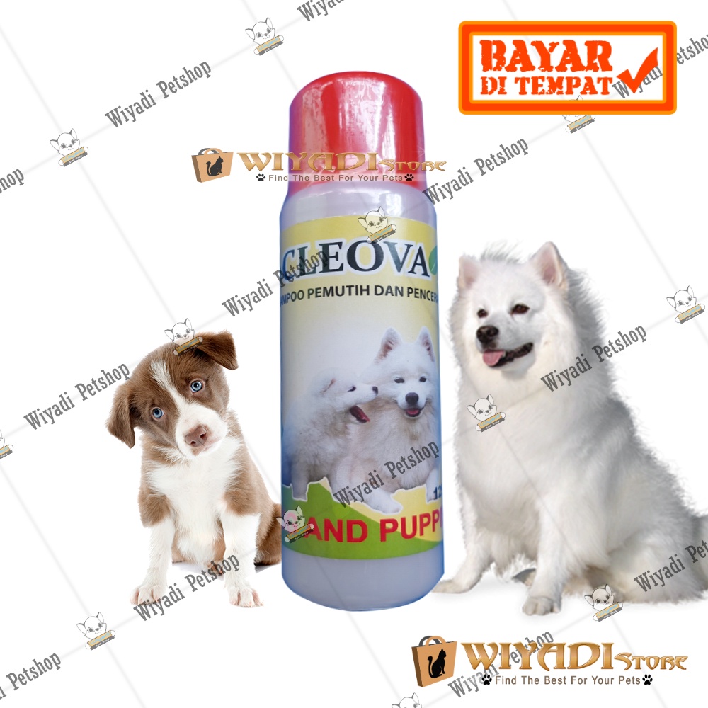 CLEOVA DOG 125 ML WHITE SOLID SAMPO ANJING BULU PUTIH PENGHILANG NODA