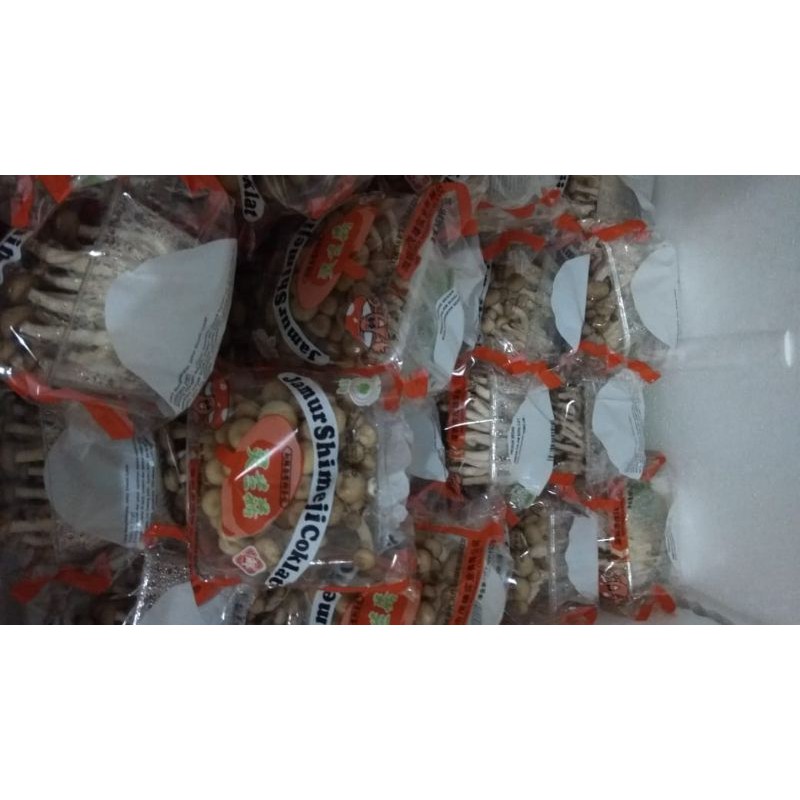 

Jamur shimeji white/brown