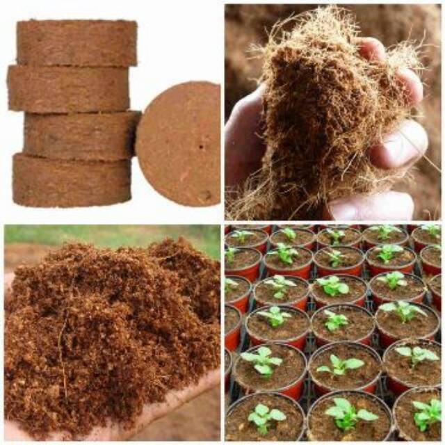 

cocopeat