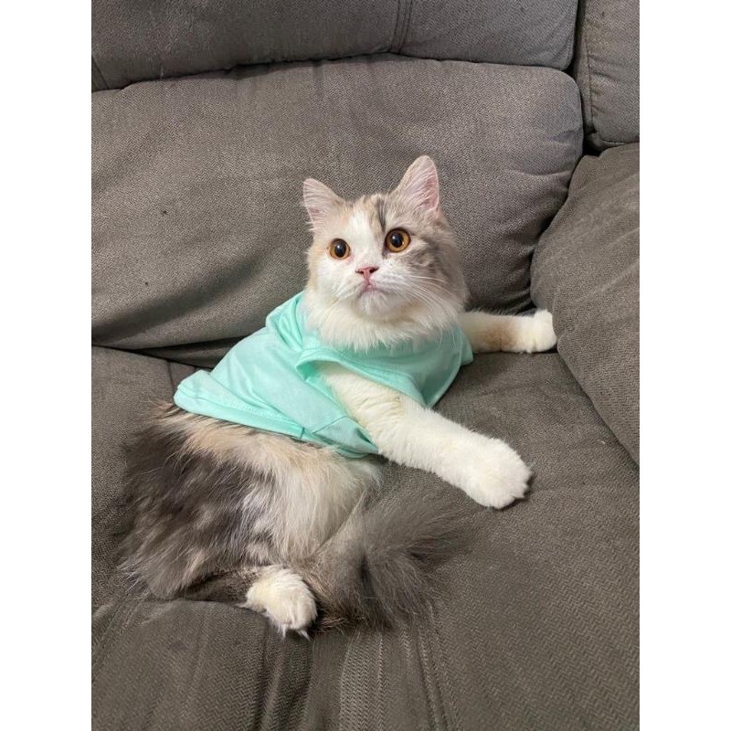 Pesanan Khusus diluar model yang diminta / baju kucing satuan atau grosir