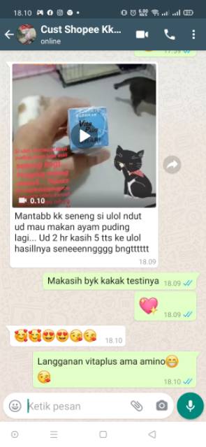 Vita Plus pertolongan pertama kucing sakit vitaplus  Shopee Indonesia