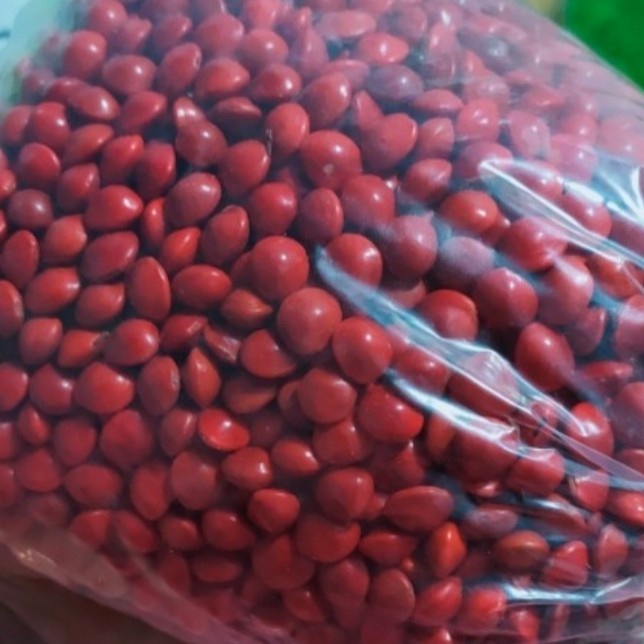 

Biji Saga Merah 1 Kg Siap Goreng Organik Bibit Hasil Kehutanan Indo