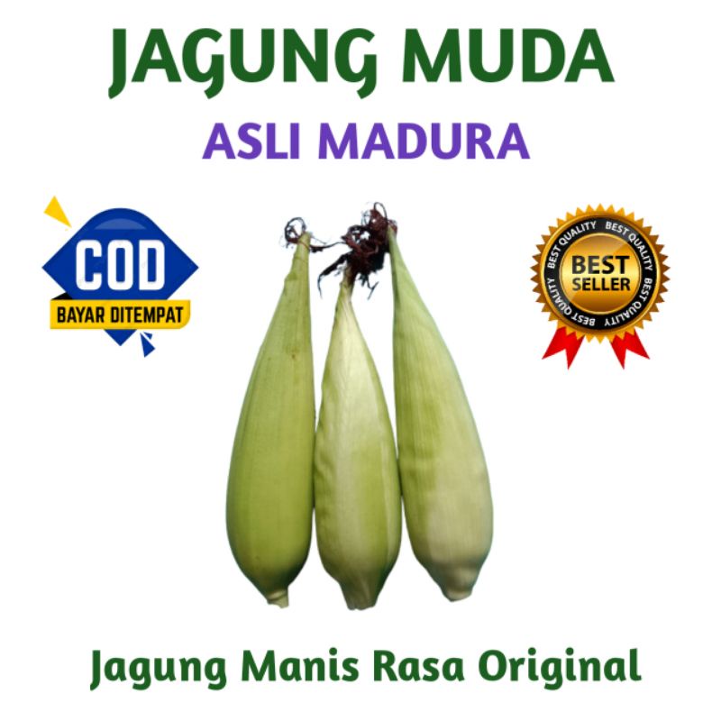 

Jagung Muda Asli Madura Rasa Original