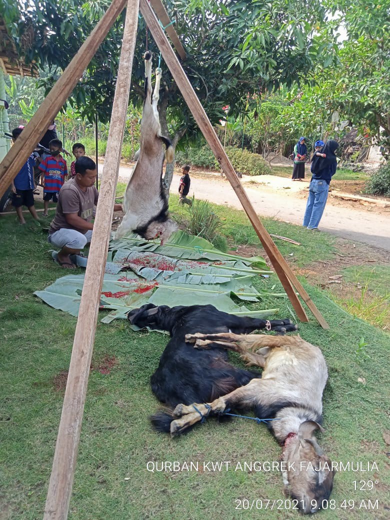 Manzone Kemeja Batik Pria Lengan Panjang  Haprajaya-black