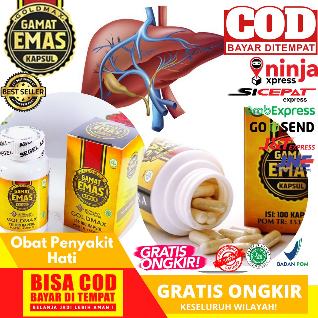 Obat Liver, Hepatitis, Sirosis, Abses Hati - Obat Penyakit Hati - Gamat Emas Kapsul GOLD MAX