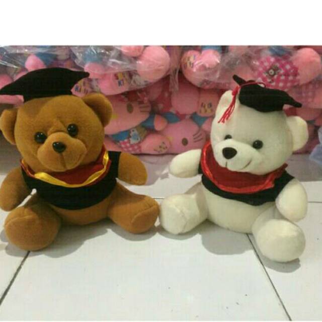 Boneka teddy bear wisuda SNI