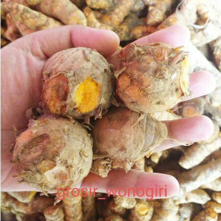 

BIANG KUNYIT/EMPU KUNYIT 1KG