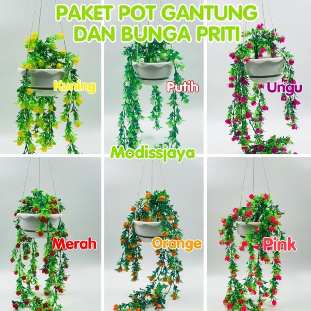 Paket Pot Gantung Bunga Priti Shopee Indonesia