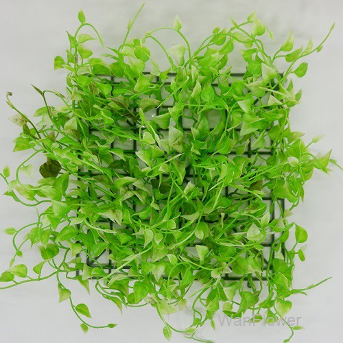 WANFLOWER Rumput 25x25 * MILION GRASS