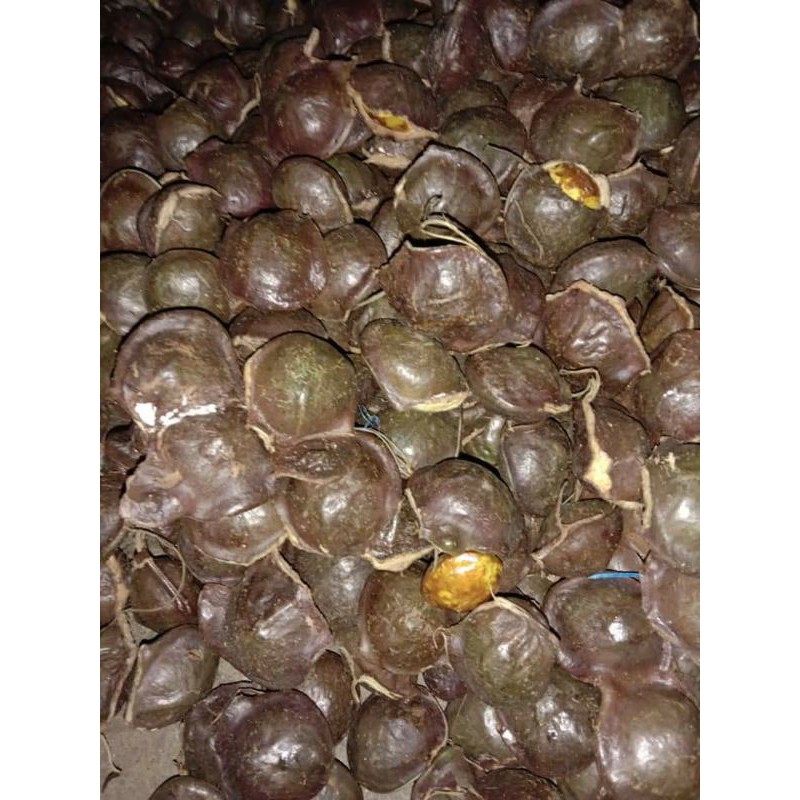 

kerupuk jengkol