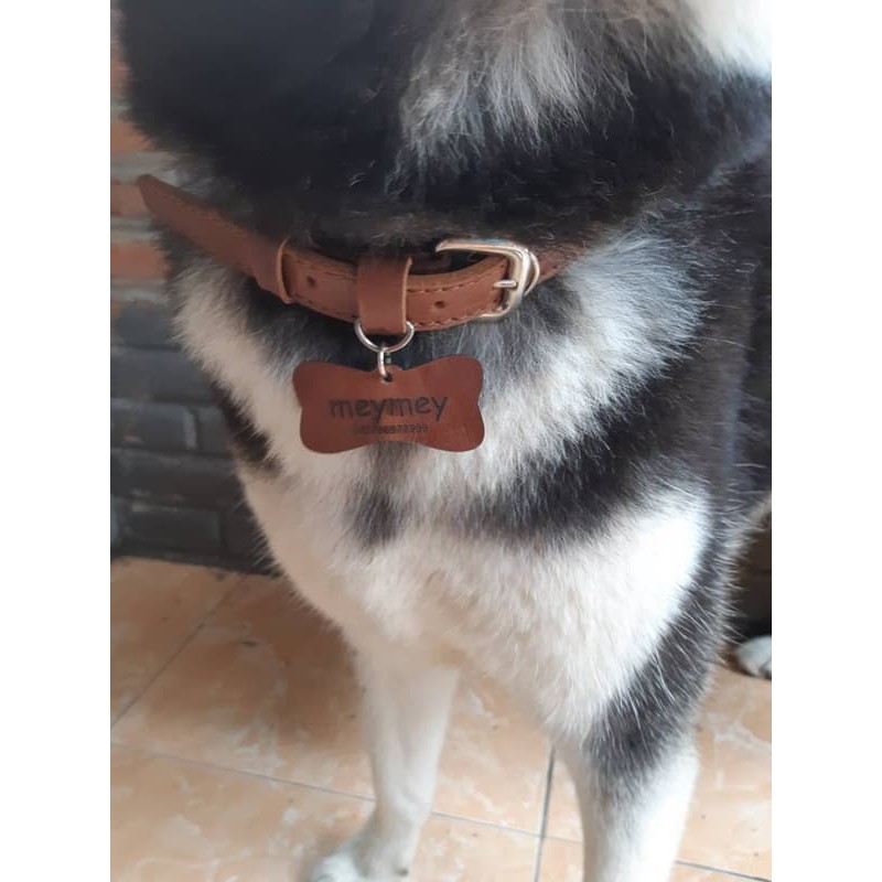 KALUNG ANJING KULIT - KUAT DAN TAHAN LAMA - GRATIS UKIR NAMA