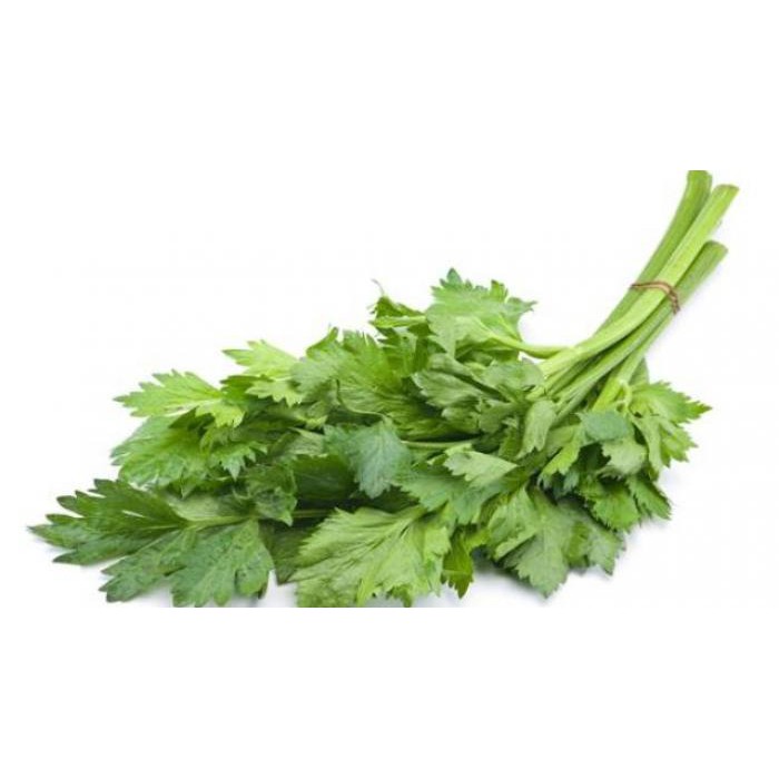 

Daun seledri per ikat