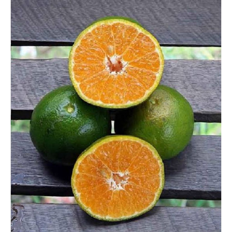 

Jeruk Pontianak Manis 1kg / Jeruk Buah Pontianak