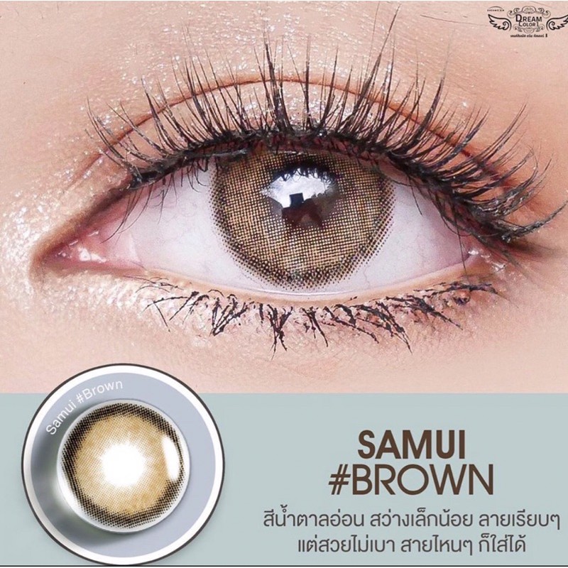 DREAMCOLOR SAMUI BROWN