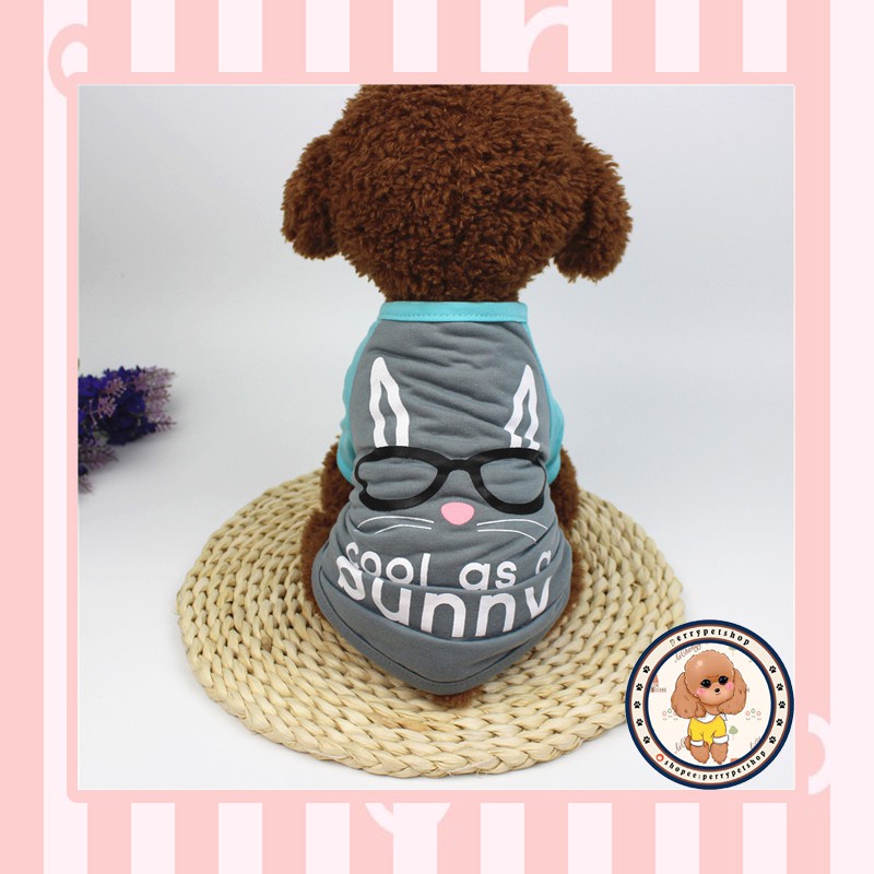 Pet Clothes Pet Tshirt Aneka Model Untuk Anjing dan Kucing