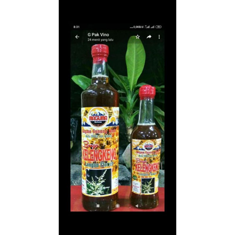 

Madu Kelengkeng