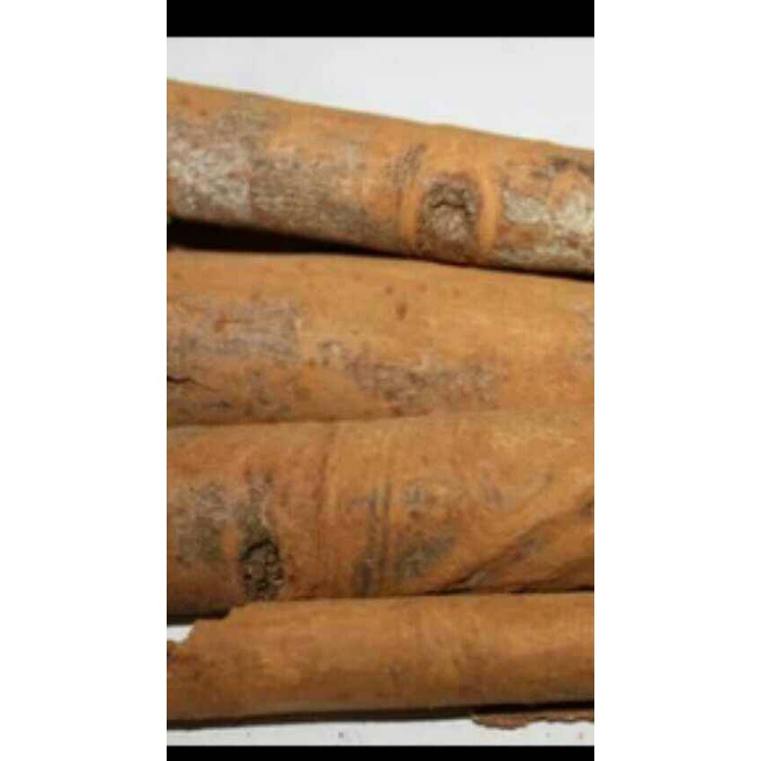 

kulit kayu sintok 500gram