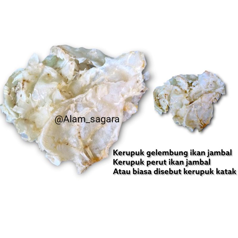 

kerupuk perut ikan jambal atau kerupuk katak Hippo hipio