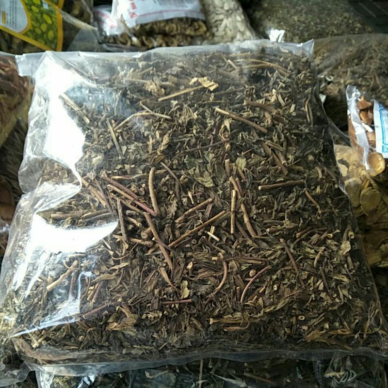 

daun kumis kucing teah herbal untuk melancarkan buang air kecil