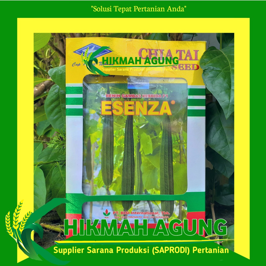 Benih Biji Gambas Esenza 10 gram Benih Gambas HIbrida F1