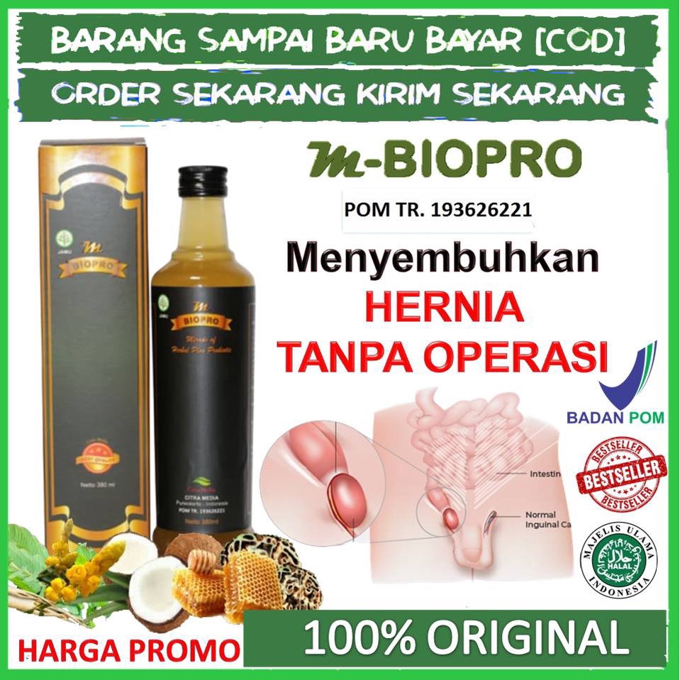Obat Hernia Paling Ampuh-obat hernia Tanpa Operasi pria wanita dewasa-anak Mbiopro Original BPOM