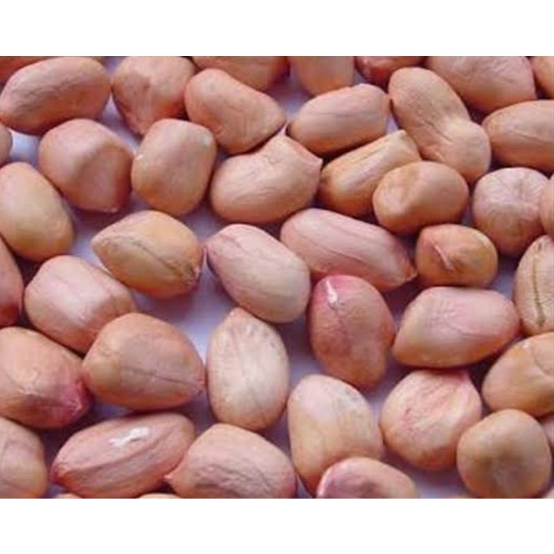 

Kacang Tanah 250 gram