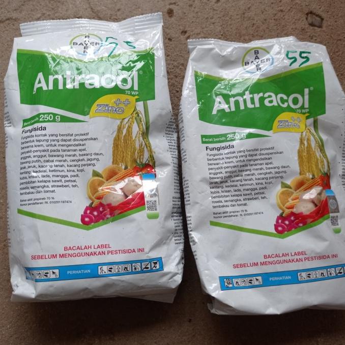 ------] antracol fungisida 250gram