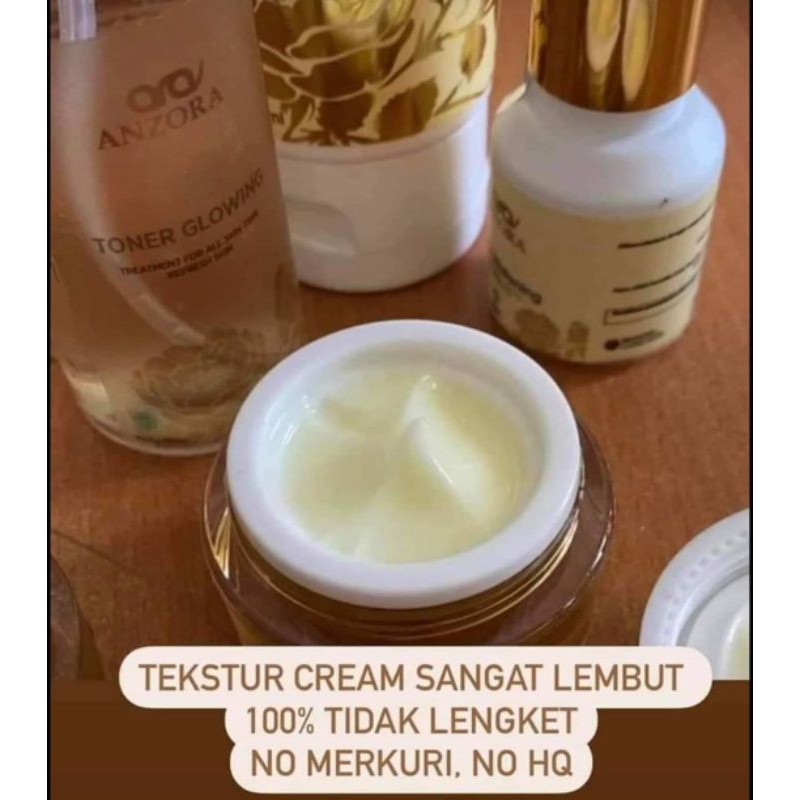 Night Cream Anzora skin