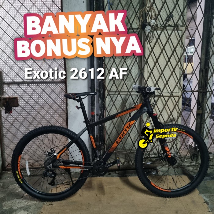 EXOTIC ET 2612 AF 26 27.5 INCH SEPEDA GUNUNG ALLOY - Grey, 26 INCH