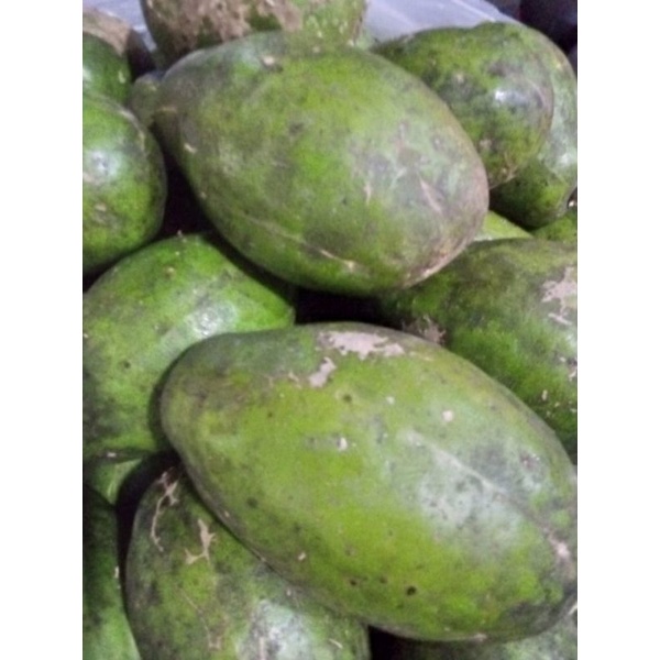 

BUAH KEDONGDONG 1 KG