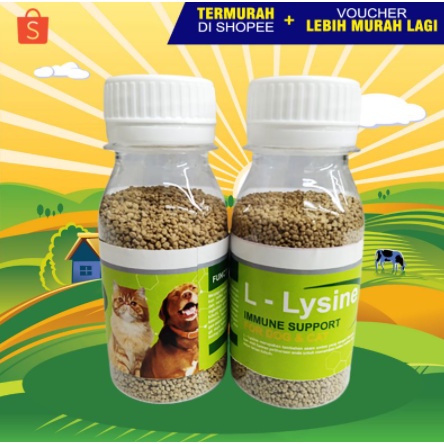 LYSINE BOTOL - Vitamin Penggemuk dan Bulu Kucing Penumbuh Bulu Kucing Pelebat Bulu Obat Bulu Rontok