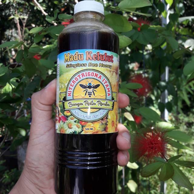 

MADU KELULUT / TRIGONA