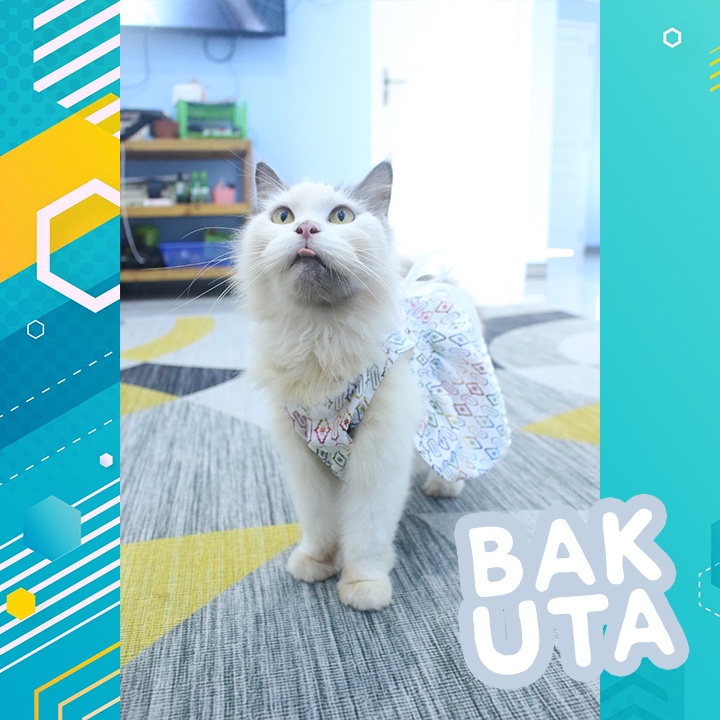 Dress Pelangi dasar putih terbaru baju kucing dan anjing / baju kucing murah size S-XL