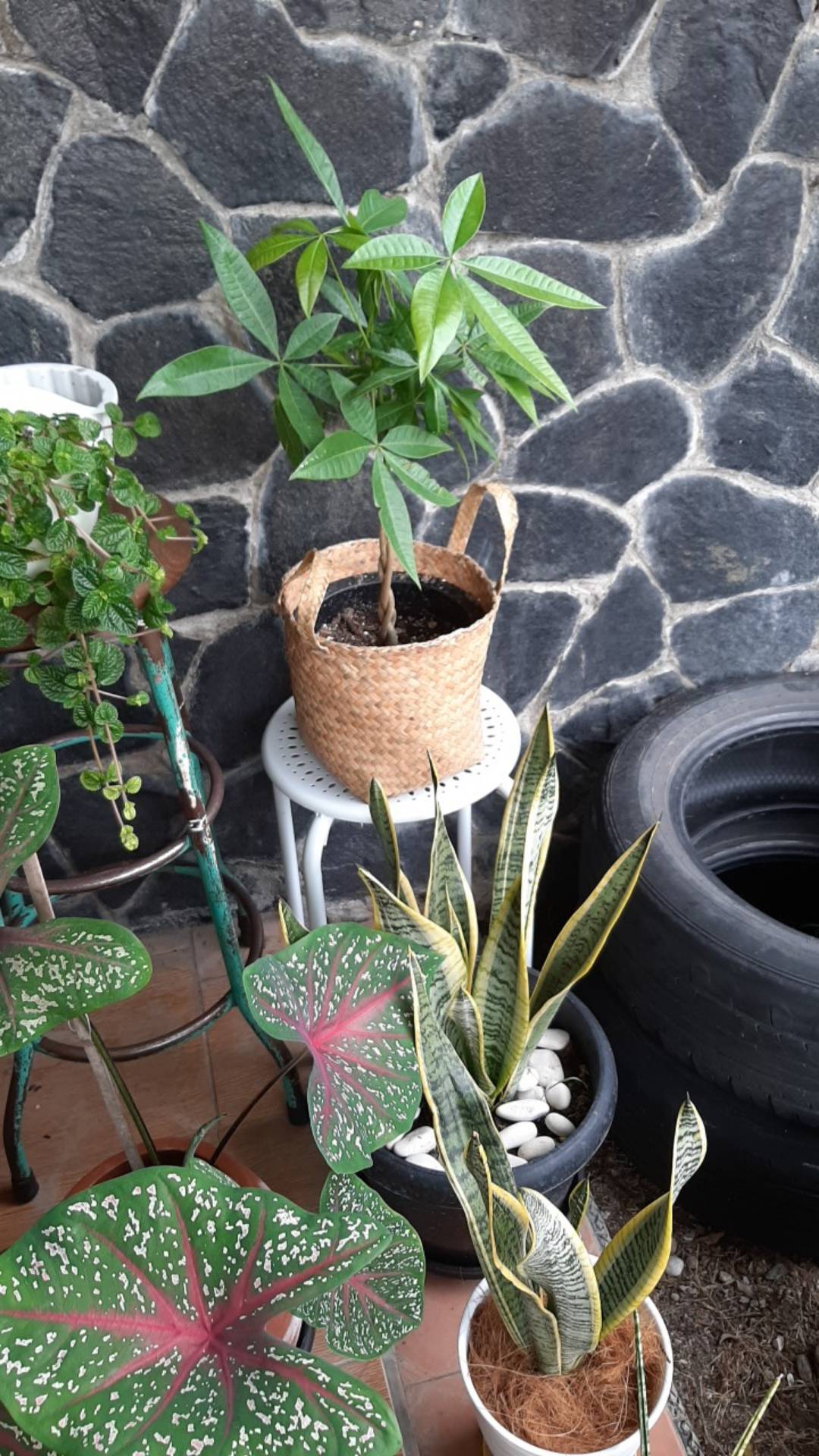 Keranjang Anyaman Purun D20cm