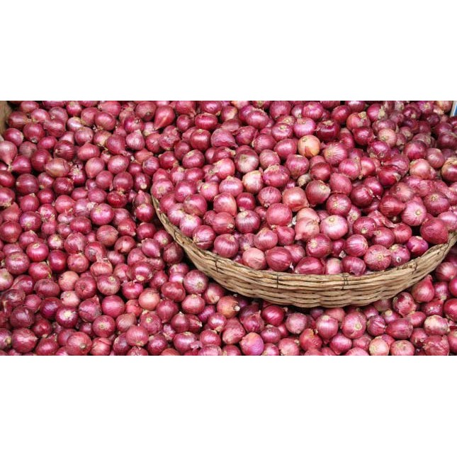 

Jual Bawang merah 200 Gram fresh