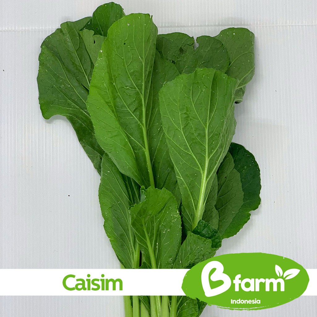 

Caisim 250 Gr (Area Bandung & Cimahi only) - Sayur Rumahan