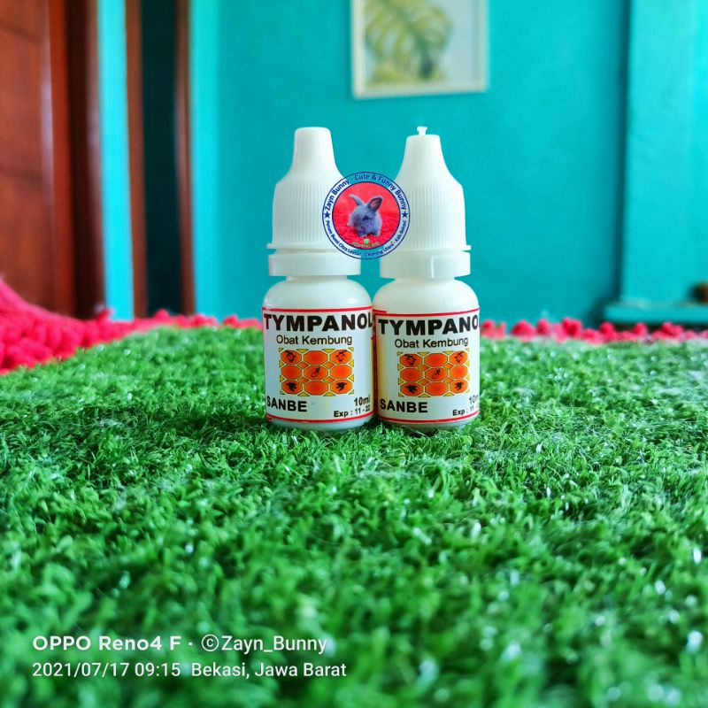 Tympanol Oral Untuk Kembung akut