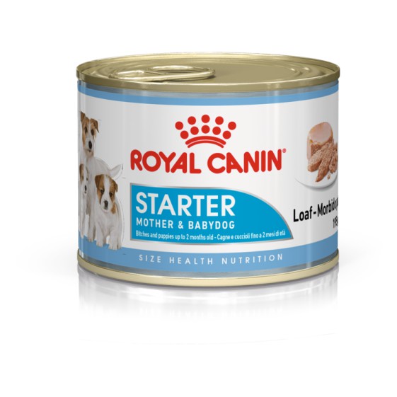 Royal Canin Starter Mousse Can