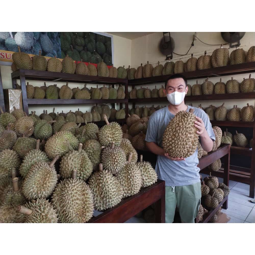 Durian Utuh Montong Palu
