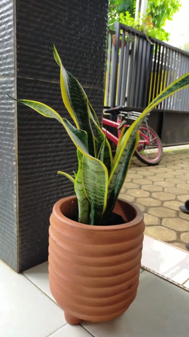 Sujeo Premium Set Korea Chopstick & Spoon Korean Sendok Sumpit Makan Korean