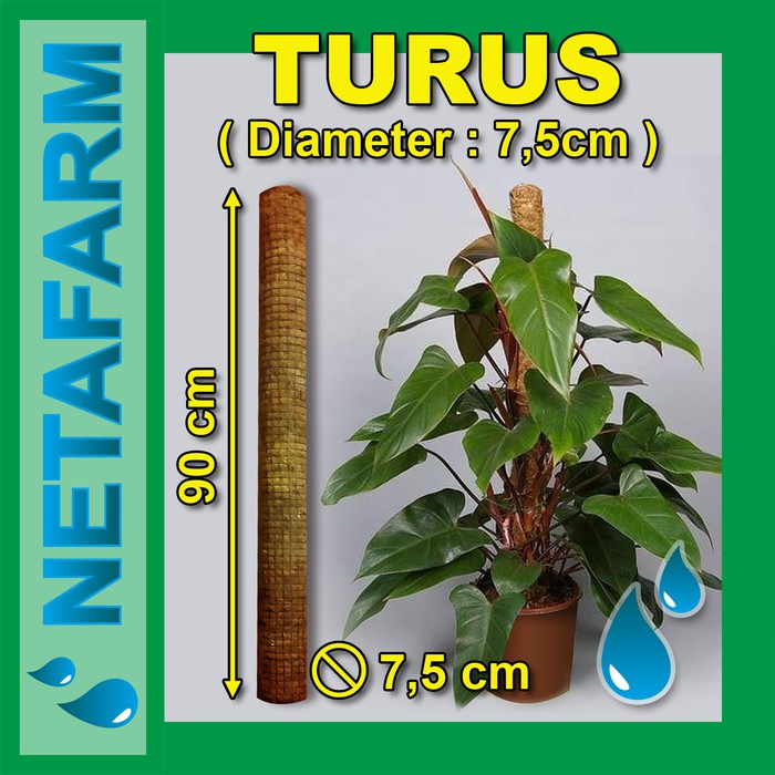 TURUS Diameter 7,5cm Tinggi 90cm ( Untuk merambat tanaman )