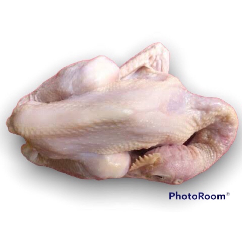 

ayam pejantan utuh segar