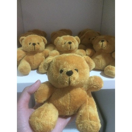 BEN.01Jl22ᴶ– Boneka teddy mini kecil beruang 12 cm