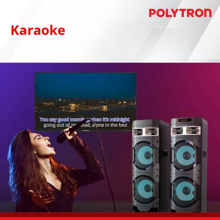 POLYTRON Active Speaker PAS 10D28 / PAS10D28 Spiker Aktif