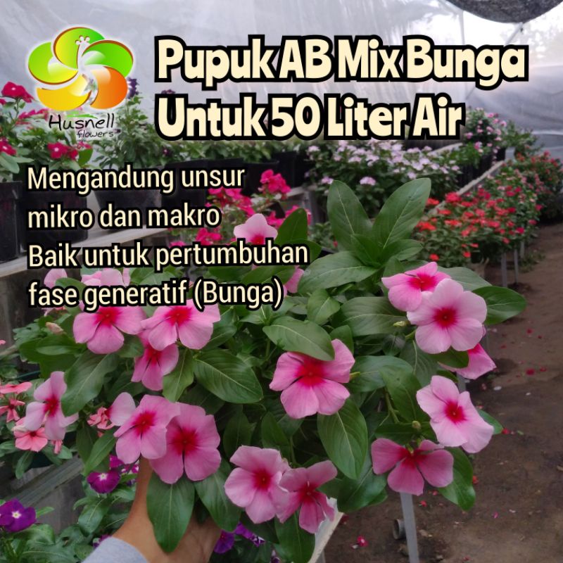 Pupuk AB Mix Bunga untuk 50 Liter