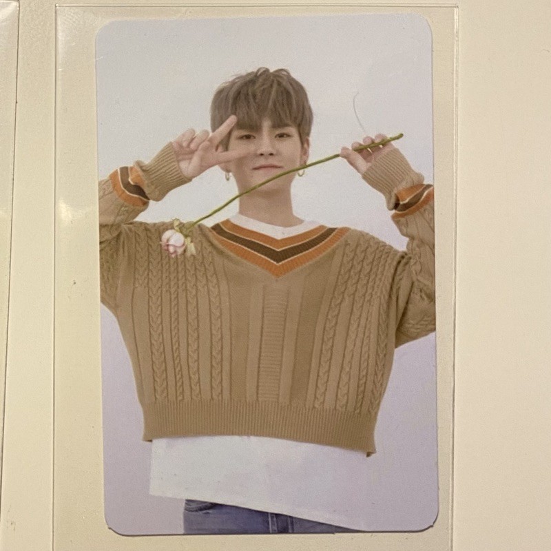 PC Treasure Yoshi AR